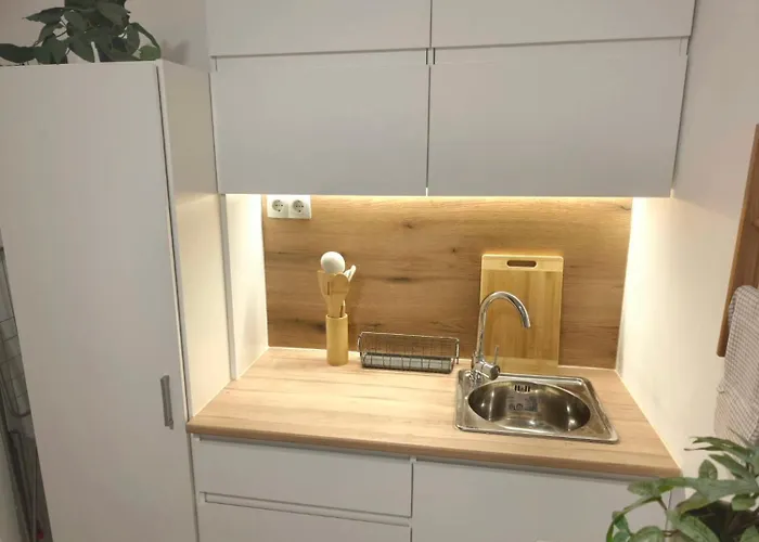 Superior With Terrace In 4star Life Appartement *